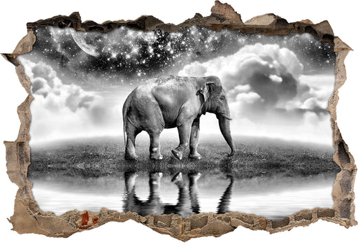 Elefant, Wiese, Himmel, Afrika 3D Wandtattoo Wanddurchbruch