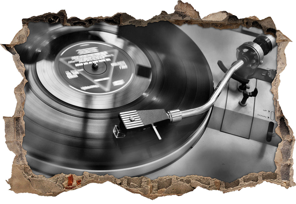 Pixxprint Schallplatte B&W, 3D Wandtattoo