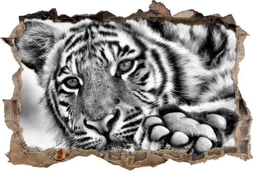 Tiger 3D Wandtattoo Wanddurchbruch