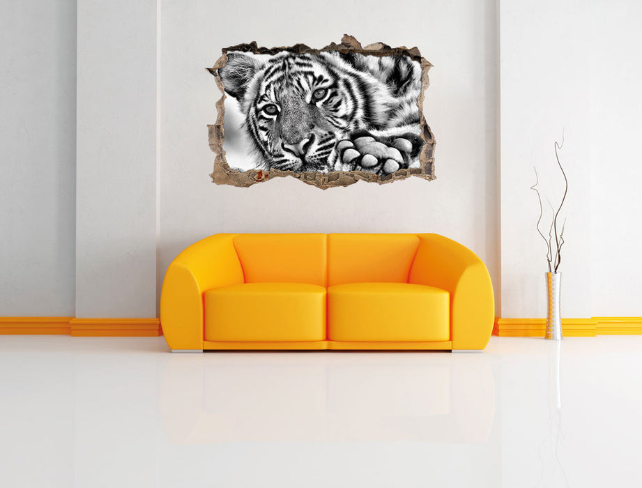 Tiger 3D Wandtattoo Wanddurchbruch Wand