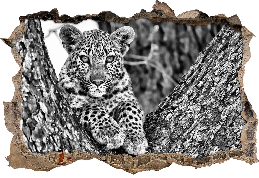 Pixxprint Leopardenbaby, 3D Wandtattoo