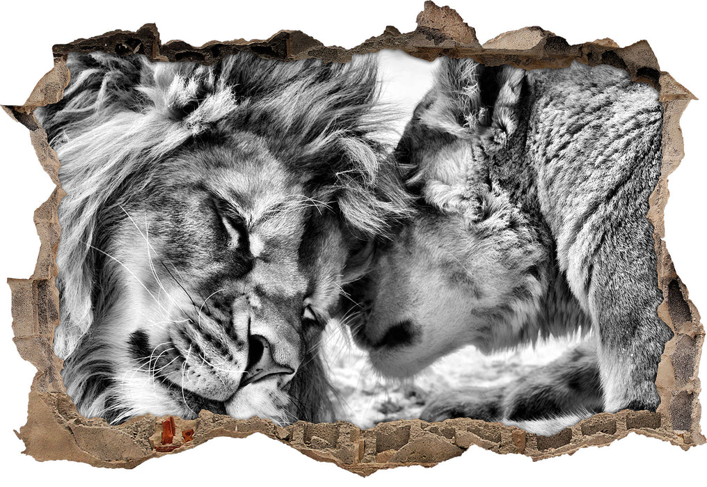Pixxprint Kuschelnde Löwen B&W, 3D Wandtattoo