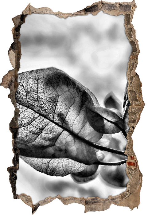 Pixxprint Sonnenstrahlen auf Blüten, 3D Wandtattoo