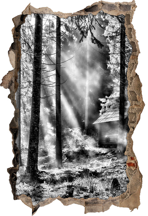 Pixxprint Sonnenstrahlen im Wald B&W, 3D Wandtattoo