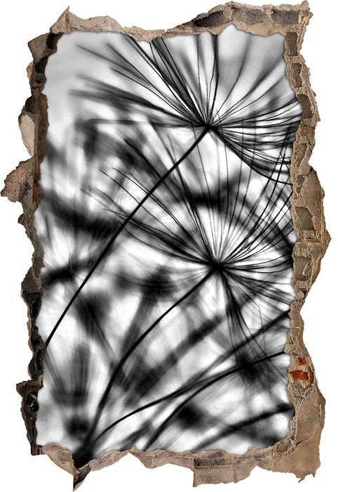 Pixxprint Pusteblumen mit Tautropfen B&W, 3D Wandtattoo