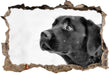 Schwarzer Labrador im Schnee B&W 3D Wandtattoo Wanddurchbruch