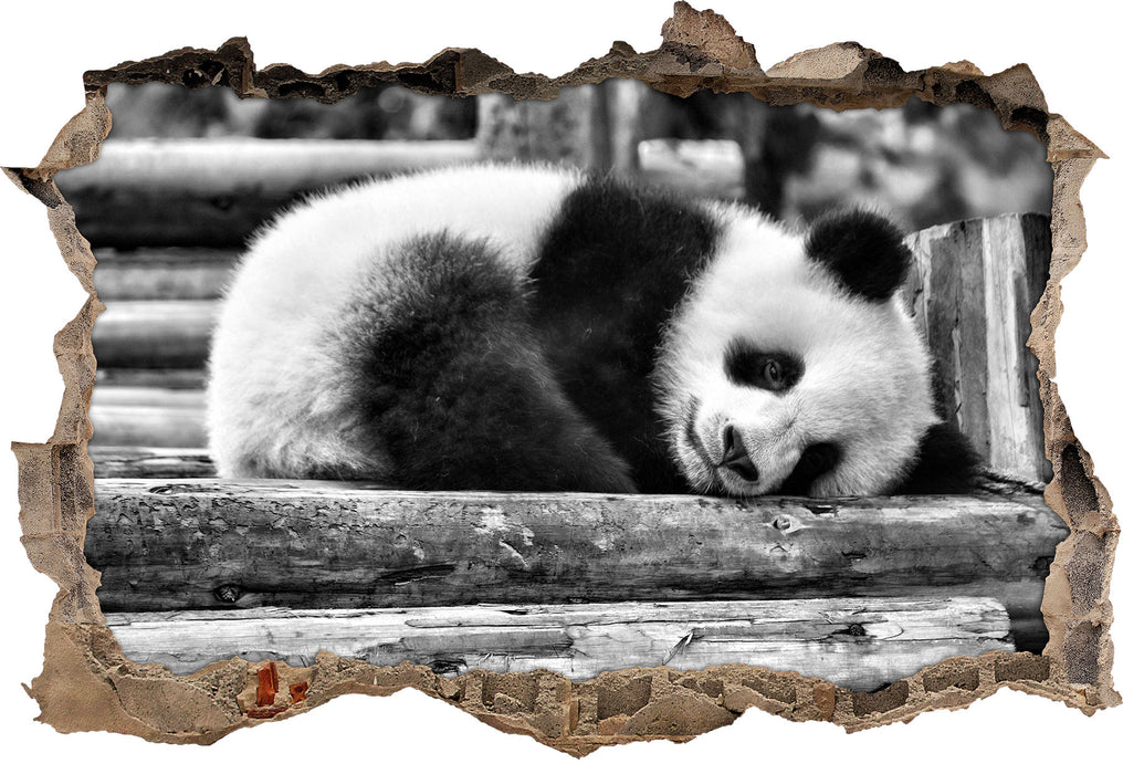 Pixxprint süßer kleiner Pandabär B&W, 3D Wandtattoo