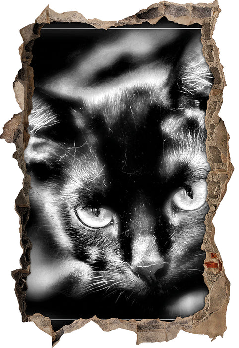 schöne schwarze Katze 3D Wandtattoo Wanddurchbruch