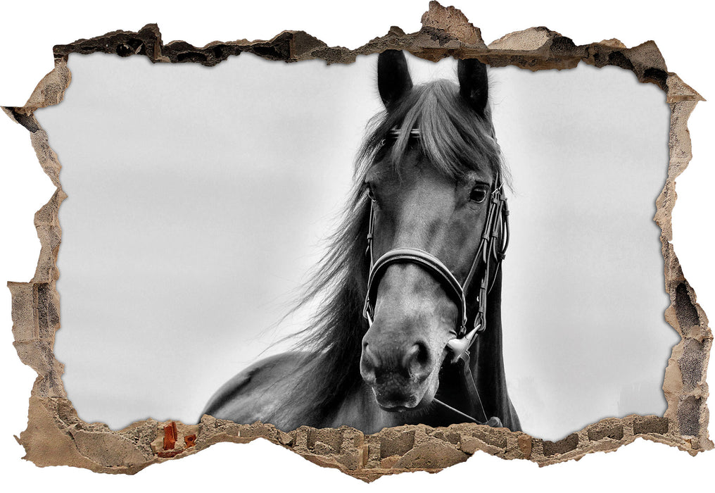 Pixxprint Schönes Pferd, 3D Wandtattoo