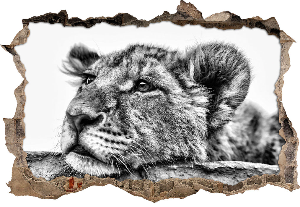 Pixxprint junger Löwe schläft, 3D Wandtattoo