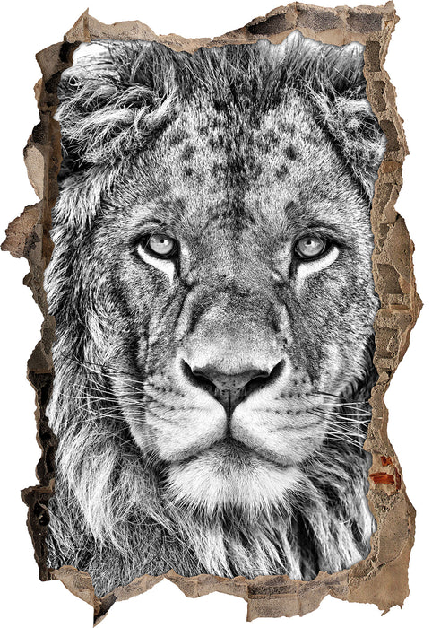 Pixxprint bildschöner Löwe, 3D Wandtattoo