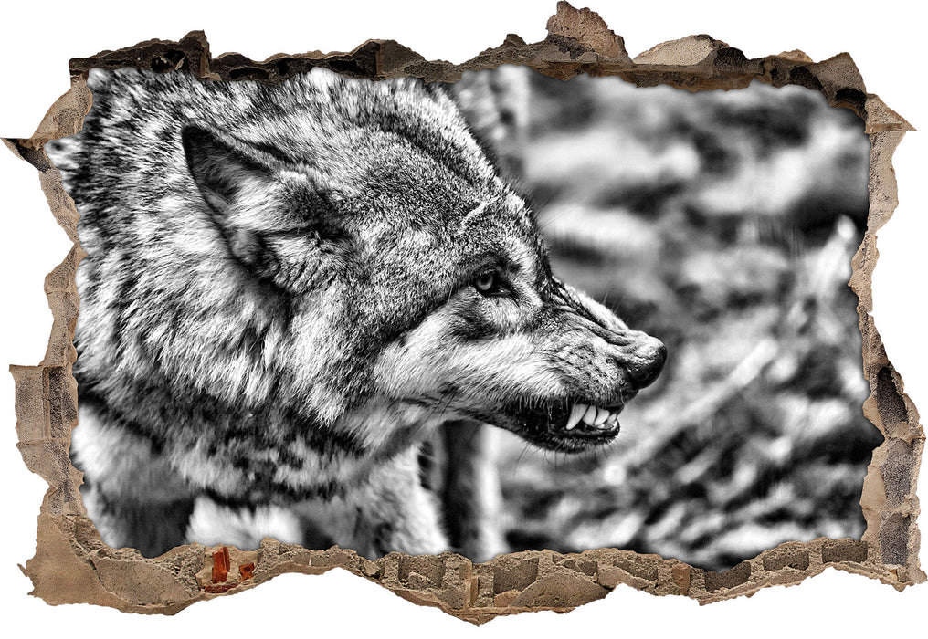 Pixxprint knurrender Wolf, 3D Wandtattoo