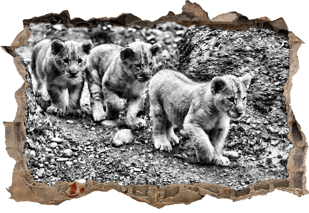 Pixxprint niedliche Löwenjungtiere, 3D Wandtattoo