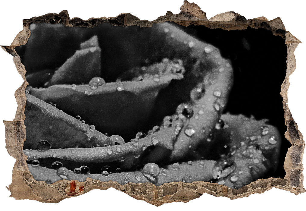 Pixxprint Tropfen auf roter Rose, 3D Wandtattoo