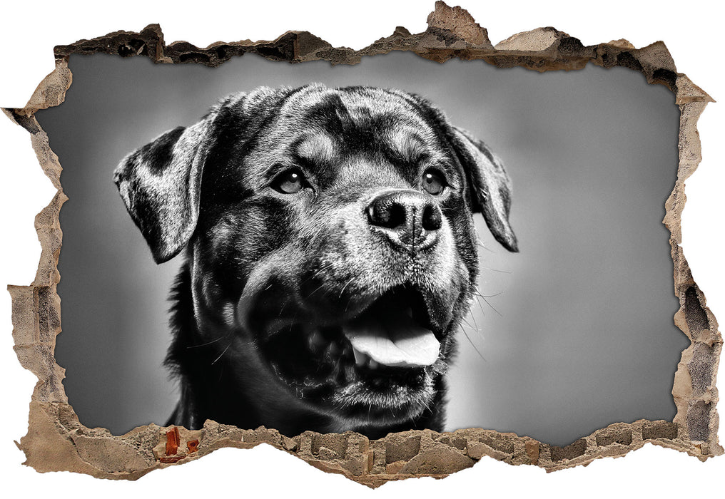 Pixxprint Treuer Rottweiler, 3D Wandtattoo