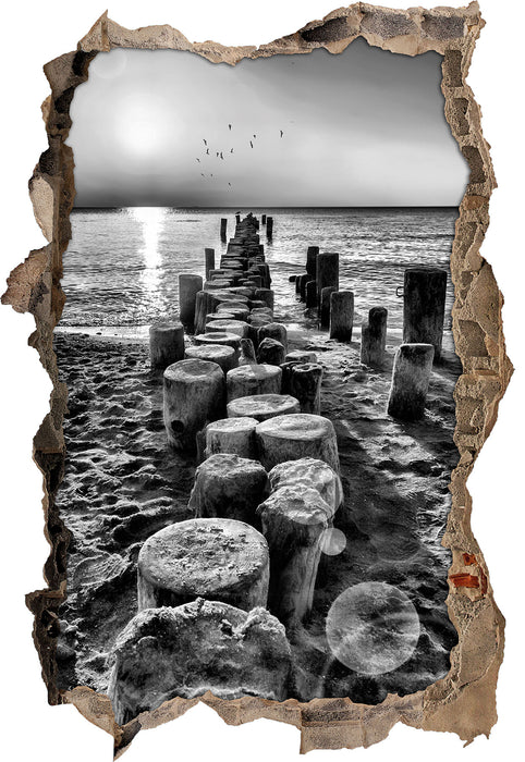 Pixxprint Baumstümpfe am Meer, 3D Wandtattoo