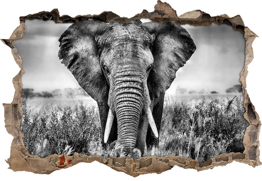 Imposanter Elefant 3D Wandtattoo Wanddurchbruch