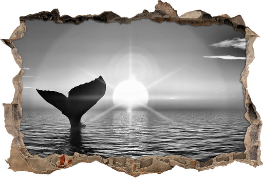 Walflosse im Sonnenuntergang 3D Wandtattoo Wanddurchbruch