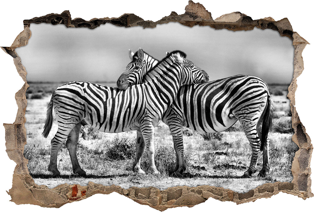 Pixxprint Schmusende Zebras, 3D Wandtattoo