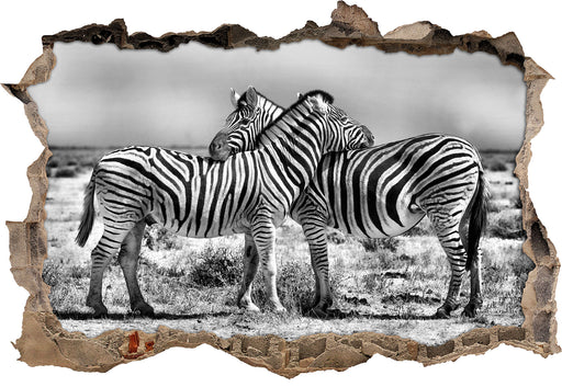 Schmusende Zebras 3D Wandtattoo Wanddurchbruch