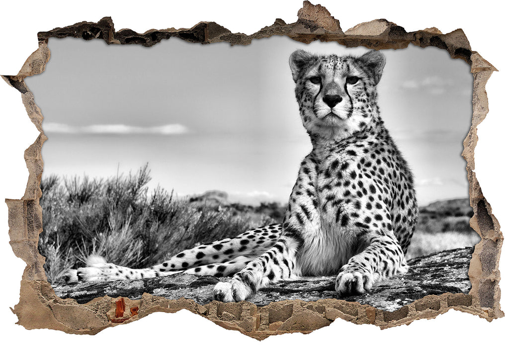Pixxprint Gepard in Savanne B&W, 3D Wandtattoo