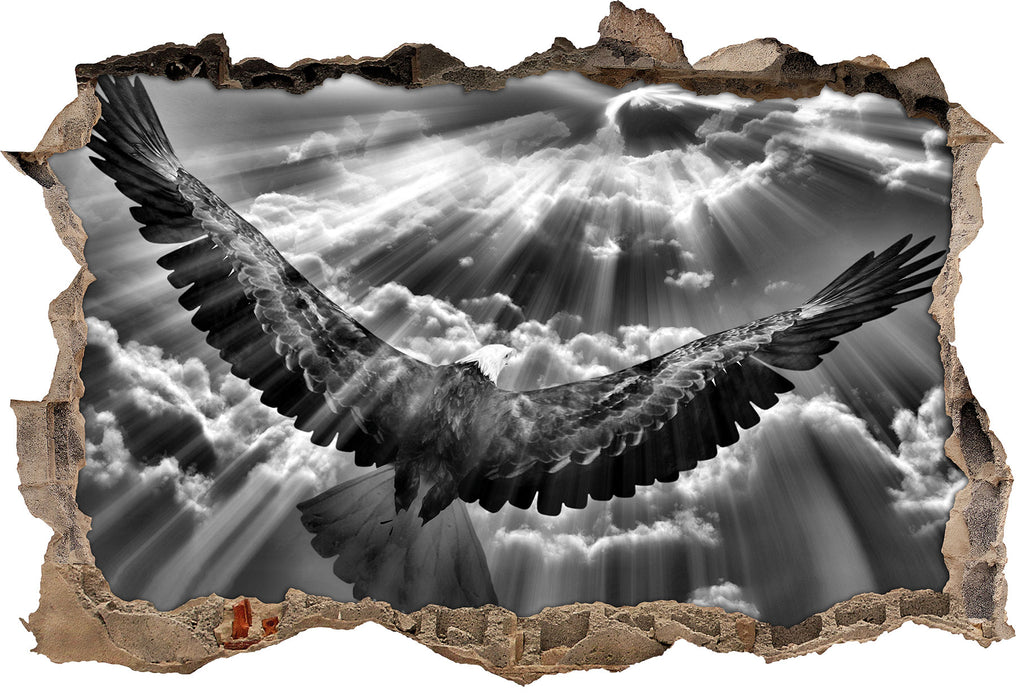 Pixxprint Adler über den Wolken B&W, 3D Wandtattoo