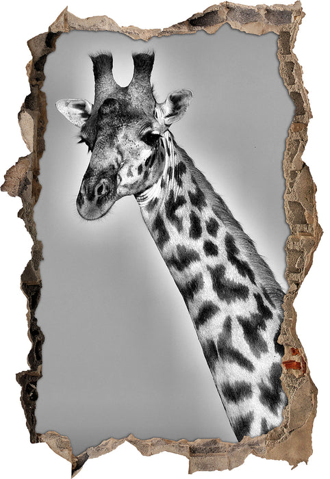majestätische Giraffe 3D Wandtattoo Wanddurchbruch