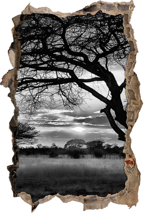 Pixxprint Savanne im Dämmerlicht, 3D Wandtattoo