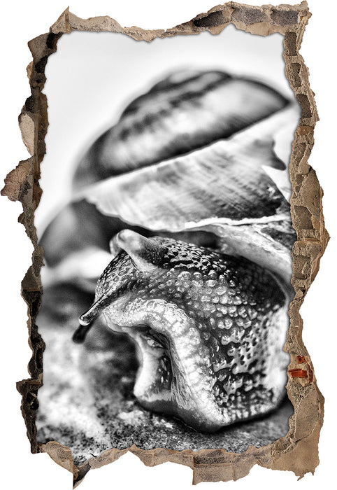 Pixxprint Schnecke mit Haus, 3D Wandtattoo