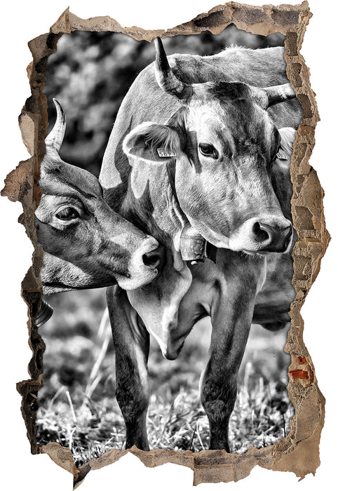 Pixxprint Kühe auf der Weide, 3D Wandtattoo