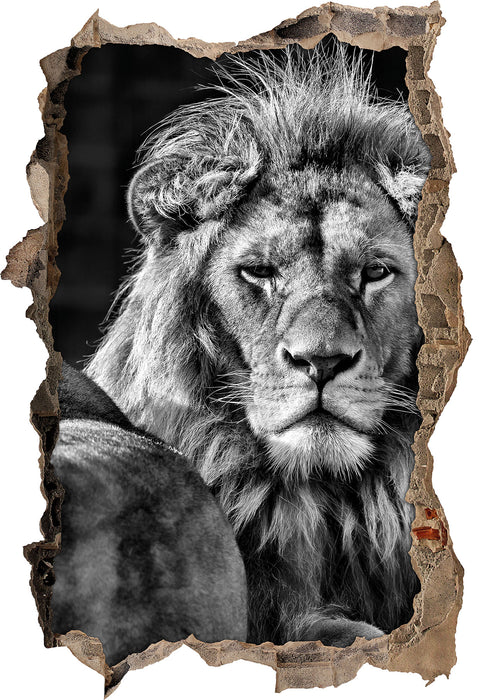 Pixxprint schönes Löwenpaar, 3D Wandtattoo