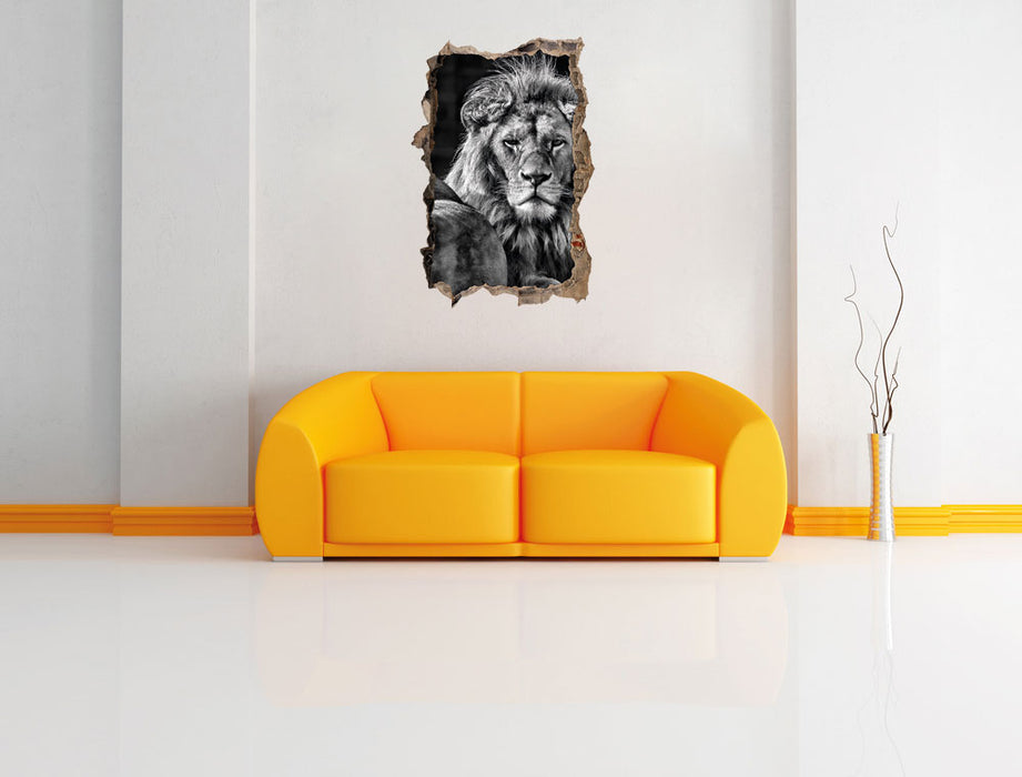schönes Löwenpaar 3D Wandtattoo Wanddurchbruch Wand