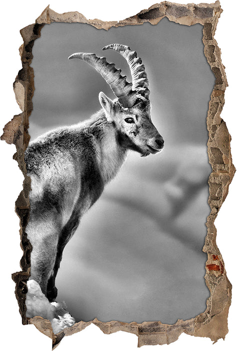 Pixxprint Steinbock im Schnee, 3D Wandtattoo