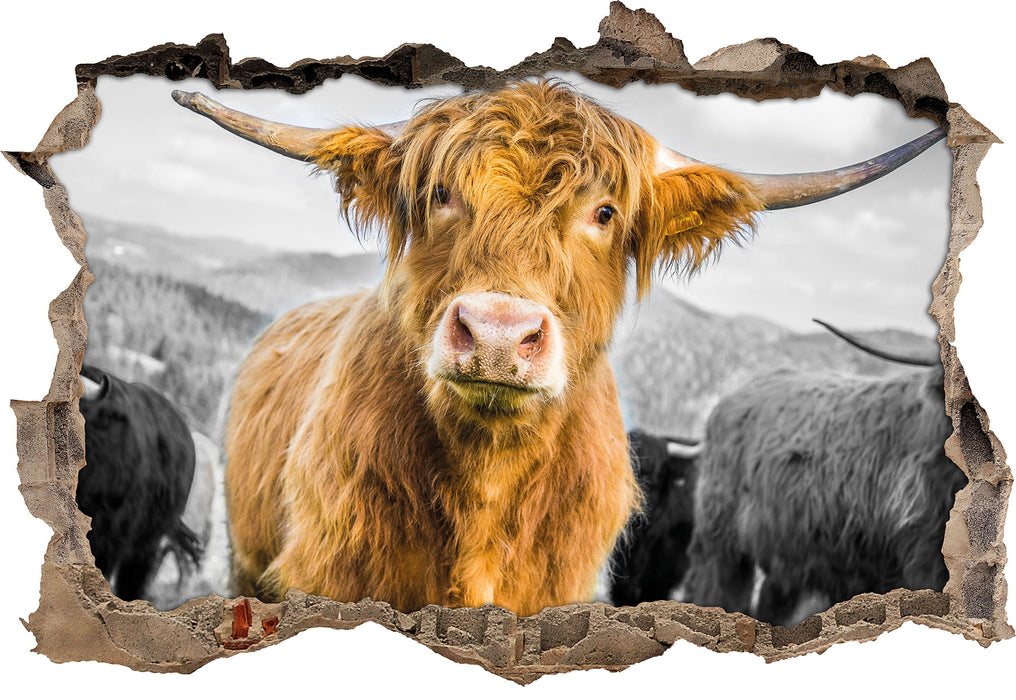 Blick einer Kuh an der Weide B&W 3D Wandtattoo Wanddurchbruch