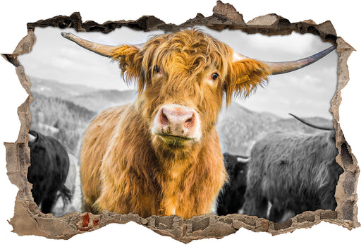 Blick einer Kuh an der Weide B&W 3D Wandtattoo Wanddurchbruch
