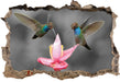 Kolibris in den Tropen 3D Wandtattoo Wanddurchbruch