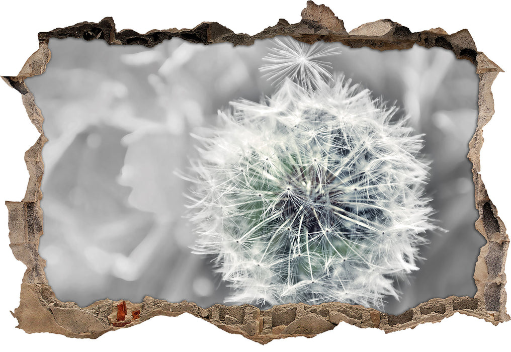 Pixxprint Löwenzahn Nahaufnahme B&W, 3D Wandtattoo