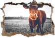Kuh auf Butterblumenwiese B&W 3D Wandtattoo Wanddurchbruch
