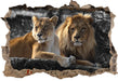 interessiertes Löwenpaar 3D Wandtattoo Wanddurchbruch
