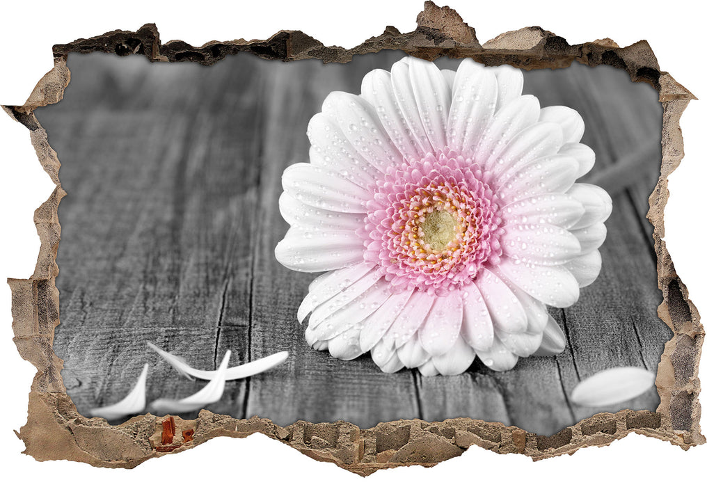 Pixxprint pinke Gerbera auf rustikalem Boden, 3D Wandtattoo