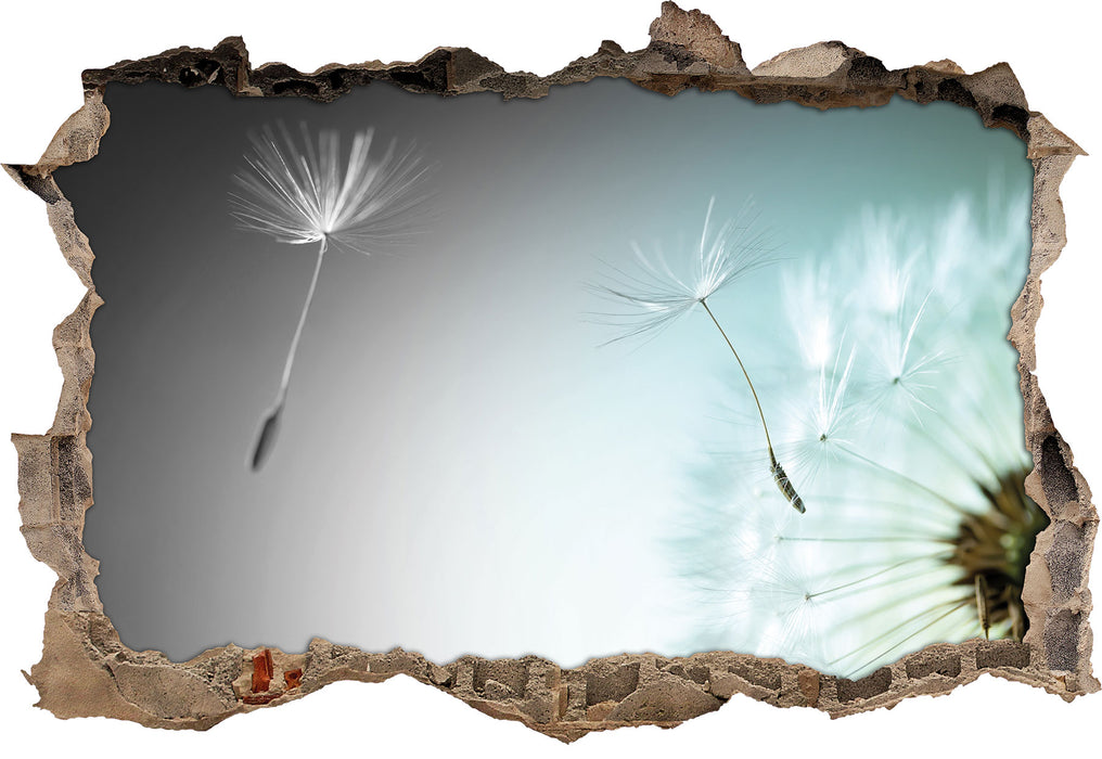 Pixxprint Löwenzahn Pusteblume B&W, 3D Wandtattoo