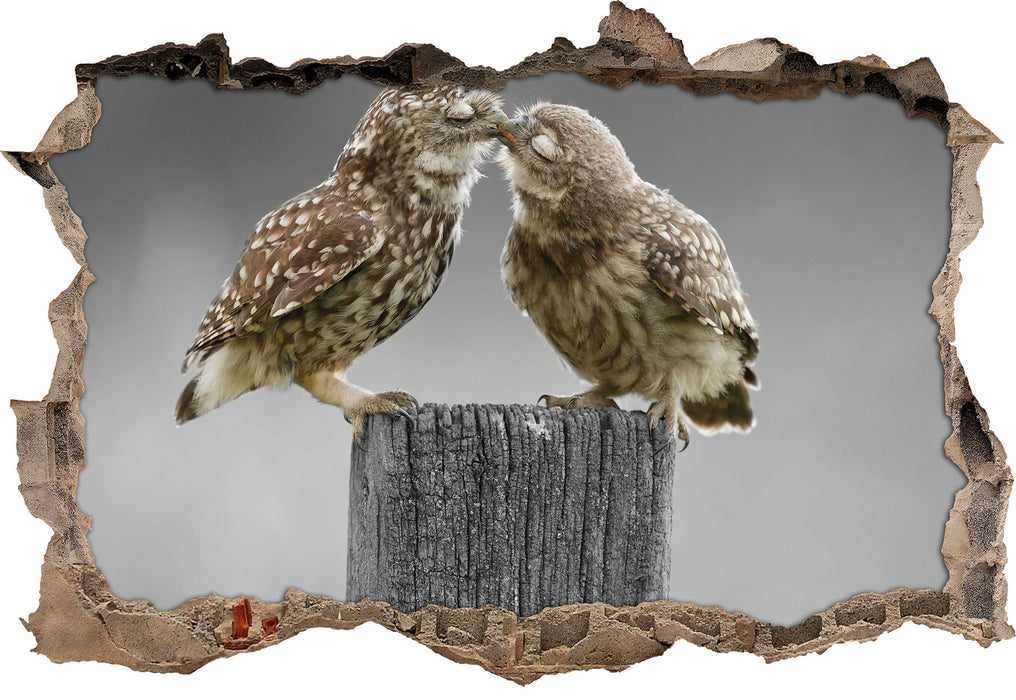 Pixxprint Küssende Eulen, 3D Wandtattoo