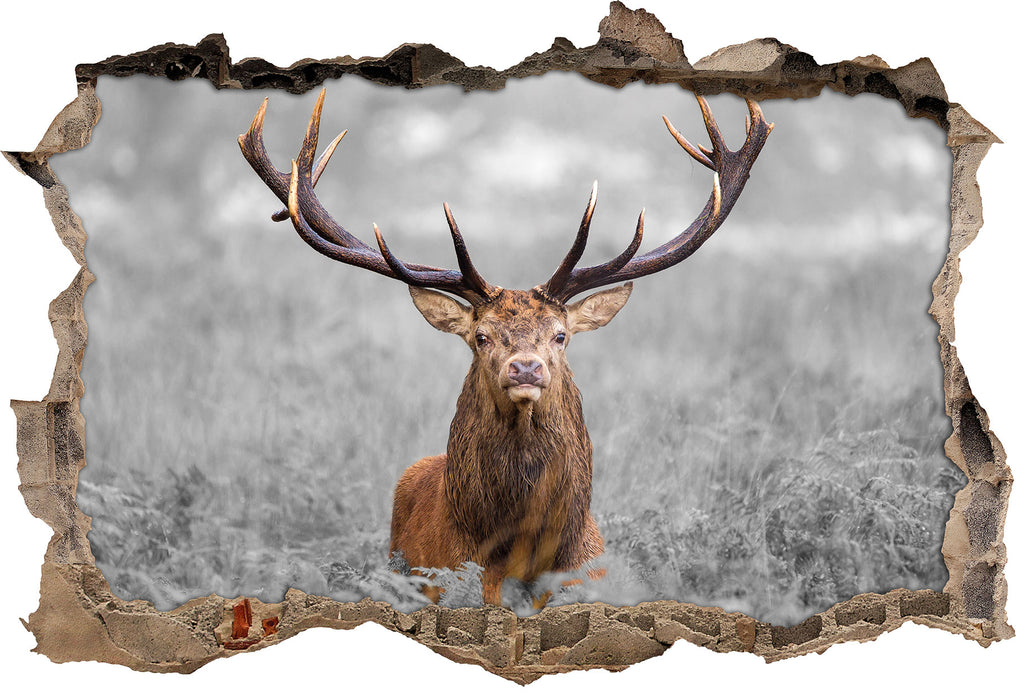 Pixxprint Großer Hirsch im Feld B&W, 3D Wandtattoo