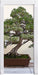 Bonsai Baum Türaufkleber