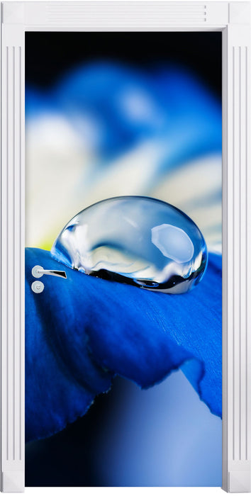Wassertropfen auf blauer Blüte Türaufkleber