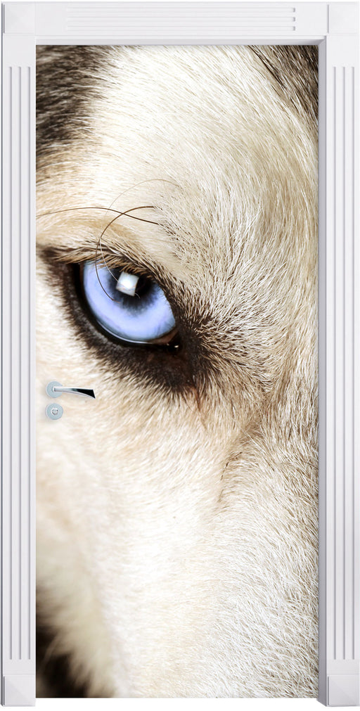 Husky eisblaue Augen Türaufkleber