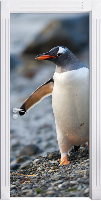 Pinguine Türaufkleber