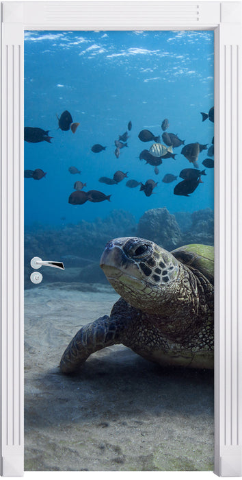 Schildkröte am Meeresboden Türaufkleber