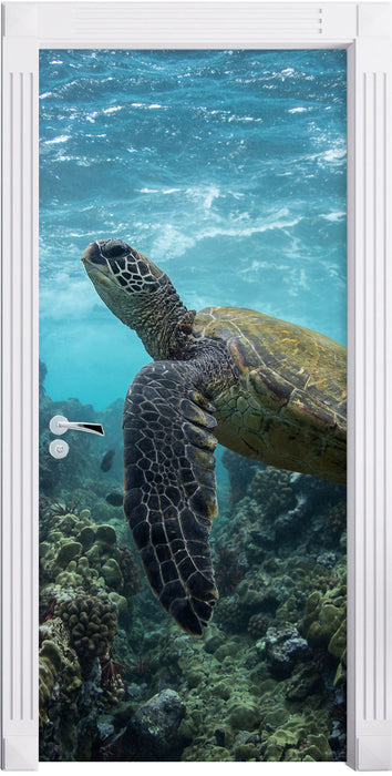 Schildkröte im Pazifik Türaufkleber