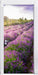 Lavendelfeld Provence Türaufkleber